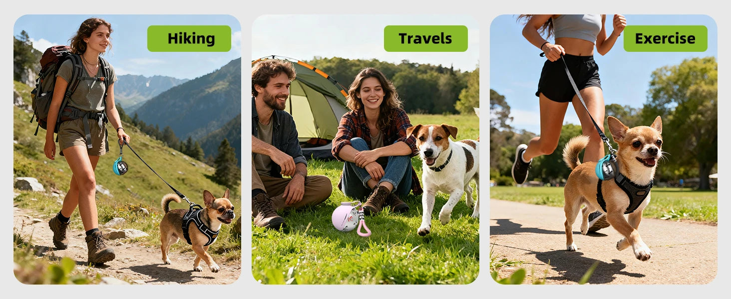 Portable Dog Water Bottle for Small Dogs