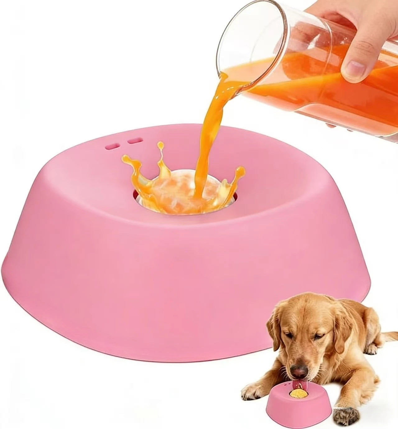 Anti-Choking Slow Feeder Dog Bowl Non-Slip