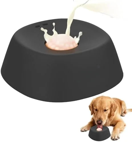 Anti-Choking Slow Feeder Dog Bowl Non-Slip